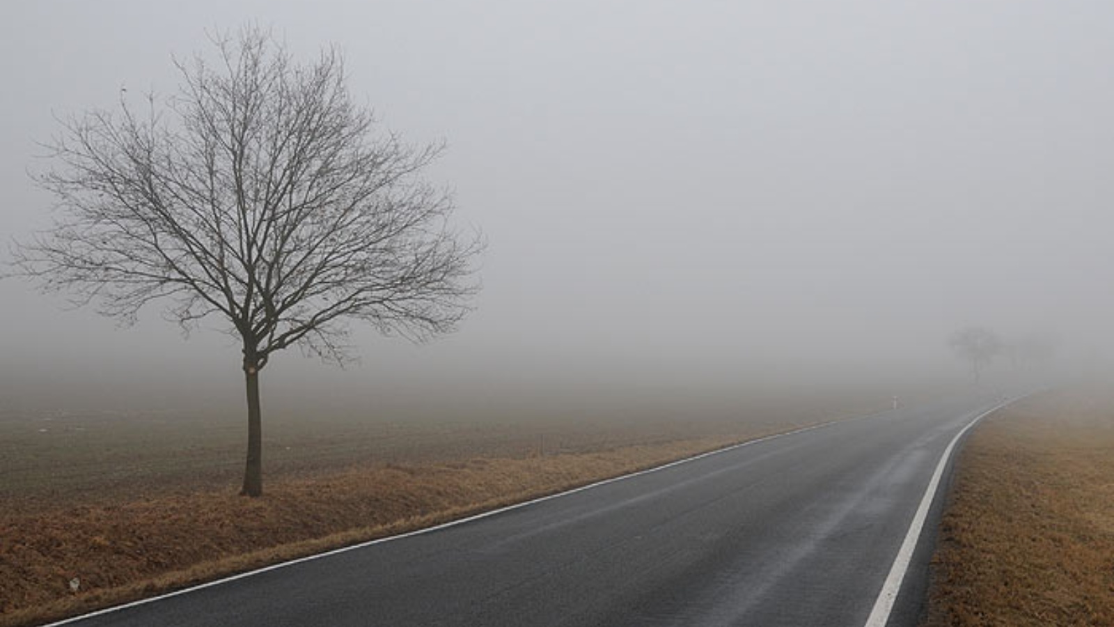 Туманы скоро осядут станет ясно. Утро туман. Пейзаж туман. Туманы скоро осядут станет ясно. Утренний лес в тумане.