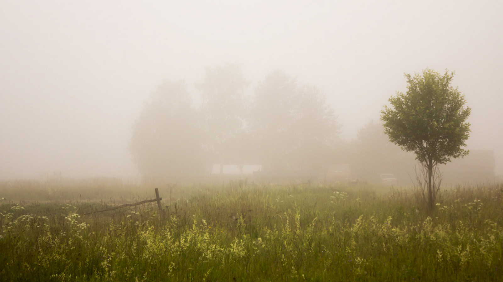 Картинки туманов. Туман. Тубман. Туман картинки. Изображение тумана.